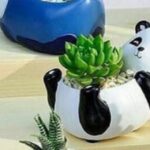 گلدان فانتزی رومیزی طرح پاندا